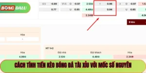 Cách Tính Tài Xỉu Bóng Đá Chuẩn Công Thức Cho Mọi Mức Kèo