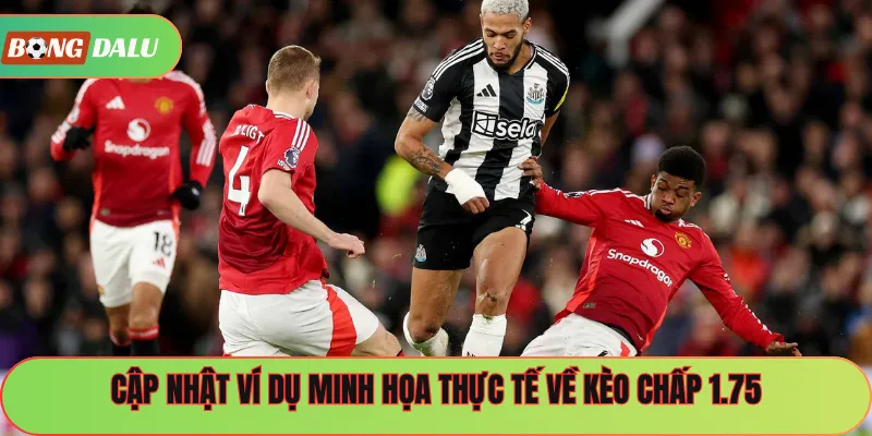Cập nhật ví dụ minh họa thực tế về kèo chấp 1.75