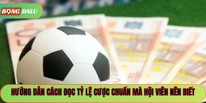 Hướng dẫn cách đọc tỷ lệ cược chuẩn mà hội viên nên biết