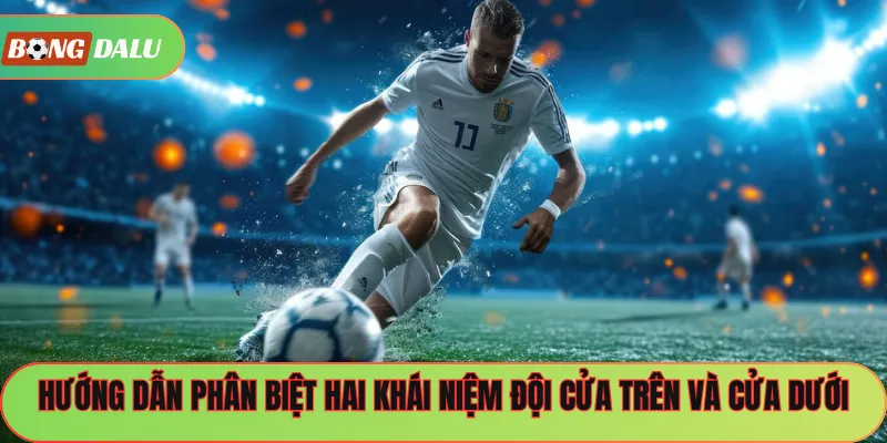 Hướng dẫn phân biệt hai khái niệm đội cửa trên và cửa dưới
