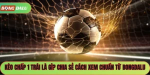 Kèo Chấp 1 Trái Là Gì? Chia Sẻ Cách Xem Chuẩn Từ Bongdalu