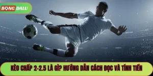 Kèo Chấp 2-2.5 Là Gì? Hướng Dẫn Cách Đọc Và Tính Tiền