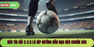 Kèo Tài Xỉu 2-2.5 Là Gì? Hướng Dẫn Đọc Kèo Chuẩn Xác