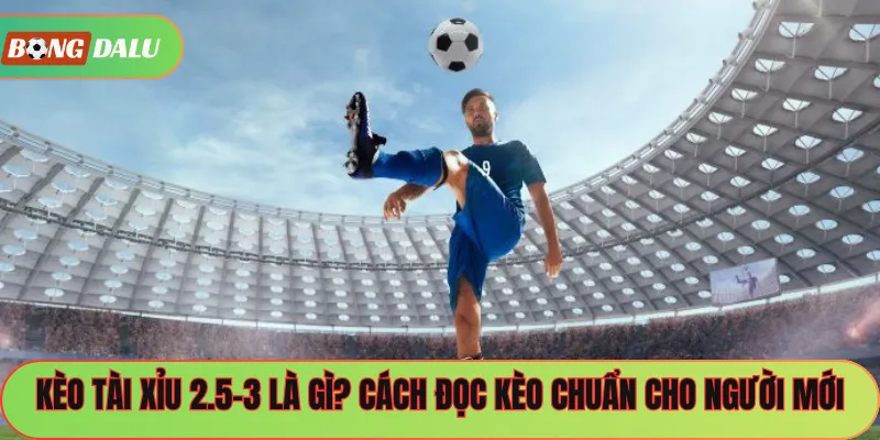 Kèo Tài Xỉu 2.5-3 Là Gì? Cách Đọc Kèo Chuẩn Cho Người Mới
